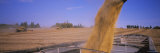 Combine Harvesting Soybeans in a Field, Minnesota, USA Photographic Print by Panoramic Images 