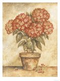 Hortensia rouge en pot Reproduction procédé giclée par Tina Chaden