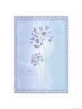 Allium Caesium Giclee Print by Nicola Rabbett