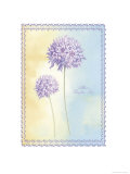 Allium Dauglasi reproduction procédé giclée par Nicola Rabbett