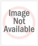 Suave mariposa esmeralda Lámina giclée por Gretchen Shannon