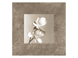 Lotus Duet Giclee-trykk av Claire Beaumont