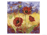 Coquelicots rouge-rubis Reproduction procédé giclée par Tina Chaden