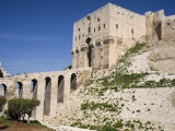 Aleppo Citadel, Syria Photographic Print by Ivan Vdovin