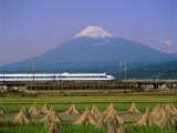 Mount Fuji, Bullet Train and Rice Fields, Fuji, Honshu, Japan Photographic Print by Steve Vidler