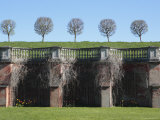 Lower Park, Venus Garden, Peterhof, Near St.Petersburg, Russia Photographic Print by Ivan Vdovin
