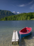 Ribcev Laz, Lake Bohinj, Gorenjska, Slovenia Photographie par Walter Bibikow