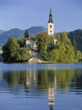 Lake Bled, Slovenia Photographie par Peter Adams