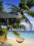 Maldives, Indian Ocean Photographic Print by Jon Arnold