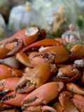 Crabs, Bangkok, Thailand Photographic Print by Russell Young