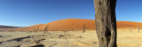 Dead Vlei Salt Pan, Sossusvlei, Namibia Photographic Print by Otto Bathurst