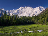 Nanga Parbat, from Fairy Meadows, Diamir District, Pakistan Photographic Print by Michele Falzone