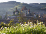 15th Century Fortified Church, Biertan, Nr. Sighisoara, Transylvania, Romania Photographic Print by Peter Adams