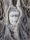 Buddha Head, Wat Phra Mahathat, Ayutthaya, Thailand Fotografie-Druck von Michele Falzone