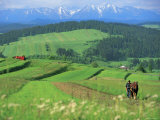 The Pienny, Carpathian Mountains, Poland Photographic Print by Peter Adams