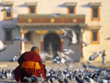 Gandan Khiid Monastery, Ulaan Baatar, Mongolia Photographie par Peter Adams