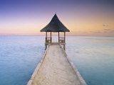 Pier, Maldives, Indian Ocean Photographic Print by Peter Adams