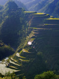Rice Terraces of Banaue, Luzon Island, Philippines Photographic Print by Michele Falzone