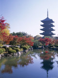 Toji Temple, Kyoto, Japan Fotografie-Druck von Steve Vidler
