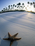 Beach at Zanzibar, Tanzania Fotografie-Druck von Peter Adams