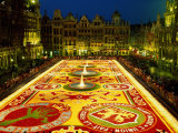Grand Place, Floral Carpet, Brussels, Belgium Photographic Print by Steve Vidler