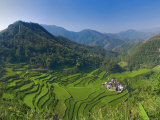 Rice Terraces of Bangaan at Banaue, Luzon Island, Philippines Photographic Print by Michele Falzone