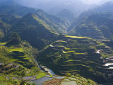 Rice Terraces of Banaue, Luzon Island, Philippines Photographic Print by Michele Falzone