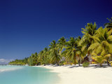 Palm Trees and Tropical Beach, Aitutaki Island, Cook Islands, Polynesia Photographie par Steve Vidler