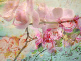 Ice Cream and Candy, no. 3 Photographic Print by Alaya Gadeh