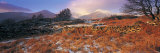 Snowdonia, Wales Photographic Print by Peter Adams