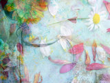 The Taste of Truth Photographic Print by Alaya Gadeh