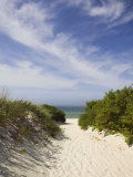 Lambert's Cove Beach, North Tisbury, Martha's Vineyard, Massachusetts, USA Photographie par Walter Bibikow