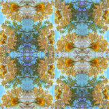 Royal Patterns, no. 2 Photographic Print by Alaya Gadeh