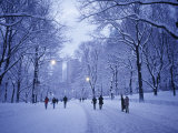 Central Park, New York City, Ny, USA Photographic Print by Walter Bibikow