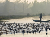 Hue, Vietnam Photographic Print by Peter Adams