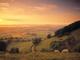 Coaley Peak, Dursley, Cotswolds, England Fotografisk tryk af Peter Adams