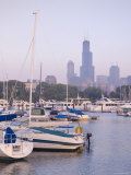 Skyline Including Sears Tower, Chicago, Illinois Photographic Print by Alan Copson