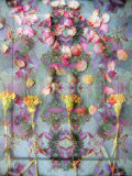 Dressed Wall's Lámina fotográfica por Alaya Gadeh Dressed Wall's Lámina fotográfica por Alaya Gadeh