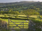 Sheepstor, Dartmoor, Devon, England Fotografie-Druck von Peter Adams