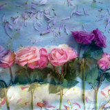 Kingdom Of Roses, no. 3 Photographie par Alaya Gadeh
