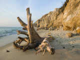 Aquinnah, Gay Head, Martha's Vineyard, Massachusetts, USA Photographic Print by Walter Bibikow