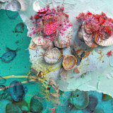Moods of Smaragd Photographie par Alaya Gadeh
