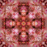 My Crosses, no. 3 Photographic Print by Alaya Gadeh