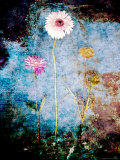 My Own Dreams, no. 4 Lámina fotográfica por Alaya Gadeh My Own Dreams, no. 4 Lámina fotográfica por Alaya Gadeh