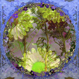 Neo Art, no. 1 Lámina fotográfica por Alaya Gadeh Neo Art, no. 1 Lámina fotográfica por Alaya Gadeh