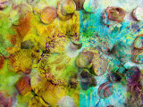 Colseaworld Mediterranian Photographic Print by Alaya Gadeh