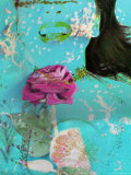 Nothing to Laugh Photographic Print by Alaya Gadeh