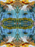 Couleur Royale de la Mandala, no. 2 Fotografisk tryk af Alaya Gadeh