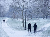 Hyde Park, London, England Photographic Print by Alan Copson Hyde Park, London, England Photographic Print by Alan Copson