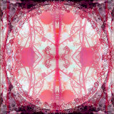 Neo Art, no. 2 Photographic Print by Alaya Gadeh